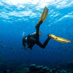Diving in Gili Trawangan with Sanctum Dive Gili Trawangan Dive Center