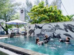 Best diving experience with Sanctum Dive Gili Trawangan Dive Center