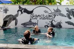 Best diving experience with Sanctum Dive Gili Trawangan Dive Center