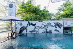Best diving experience with Sanctum Dive Gili Trawangan Dive Center
