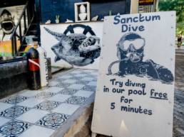 Best diving experience with Sanctum Dive Gili Trawangan Dive Center